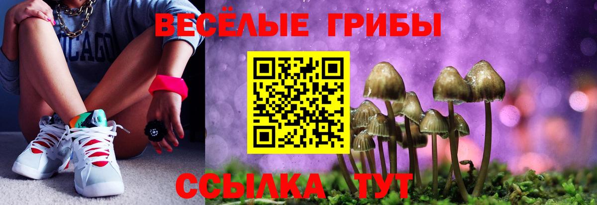 Красный Сулин  Галлюциногенные грибы прущие грибы  Вход с VPN 